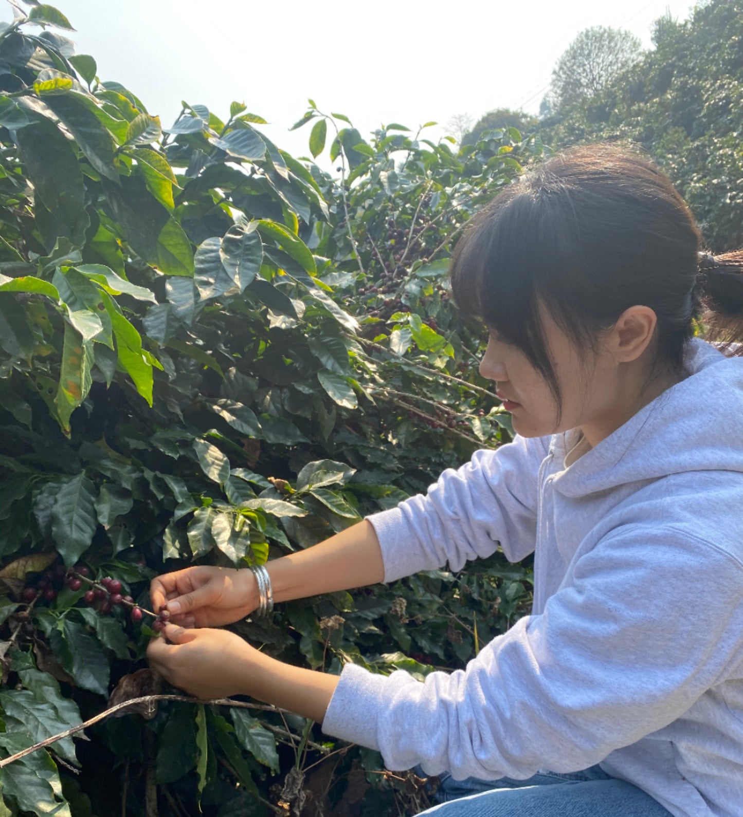 CHINA | MIGU ESTATE ANAEROBIC NATURAL | LIGHT ROAST