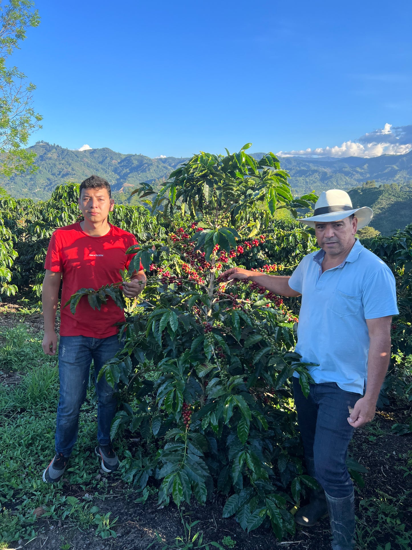 COLOMBIA | BUENOS AIRES NATURAL | LIGHT ROAST