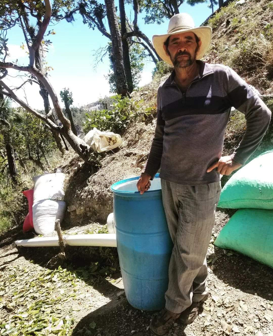 HONDURAS | FINCA EL PEDRERO WASHED | MEDIUM ROAST
