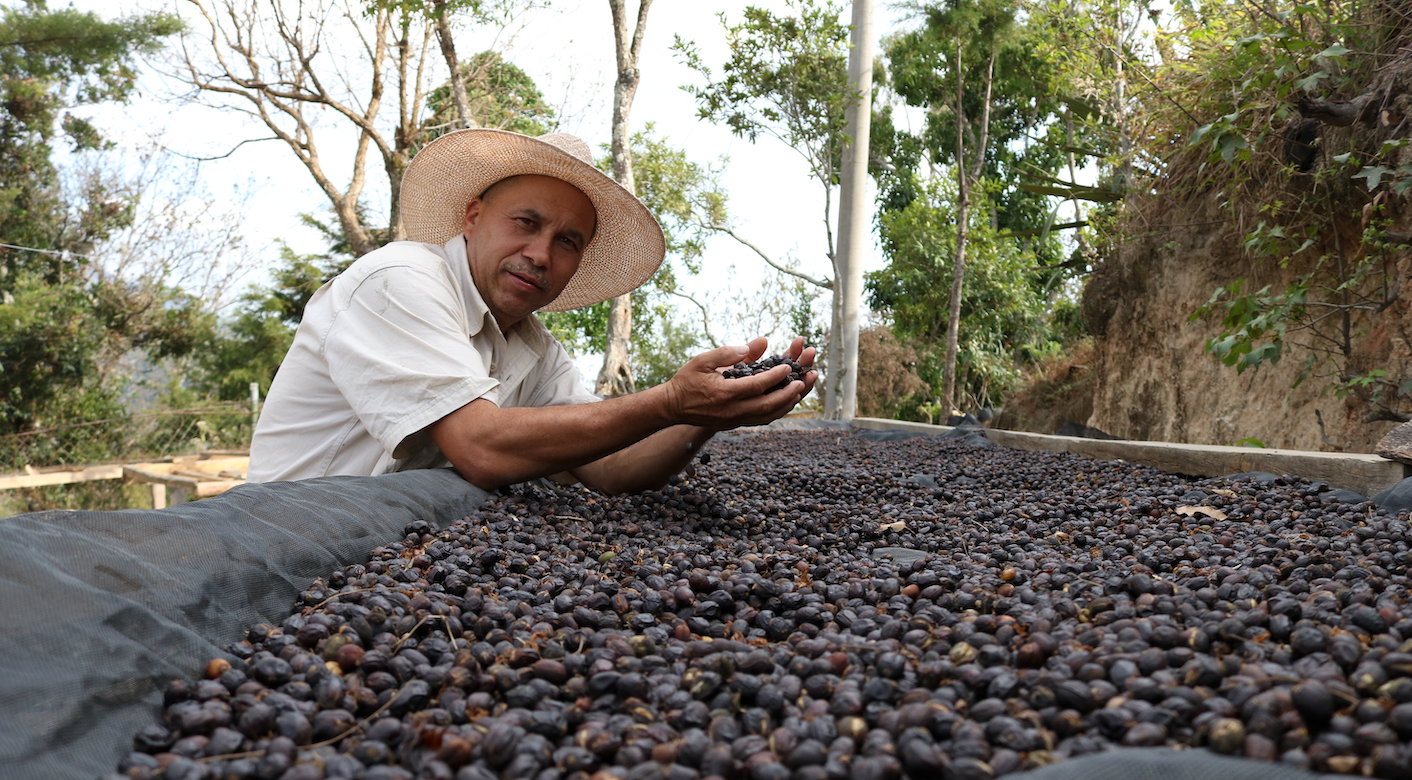 EL SALVADOR | LOS CHELAZOS NATURAL | MEDIUM ROAST