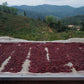 CHINA | BAOSHAN WASHED | MEDIUM ROAST