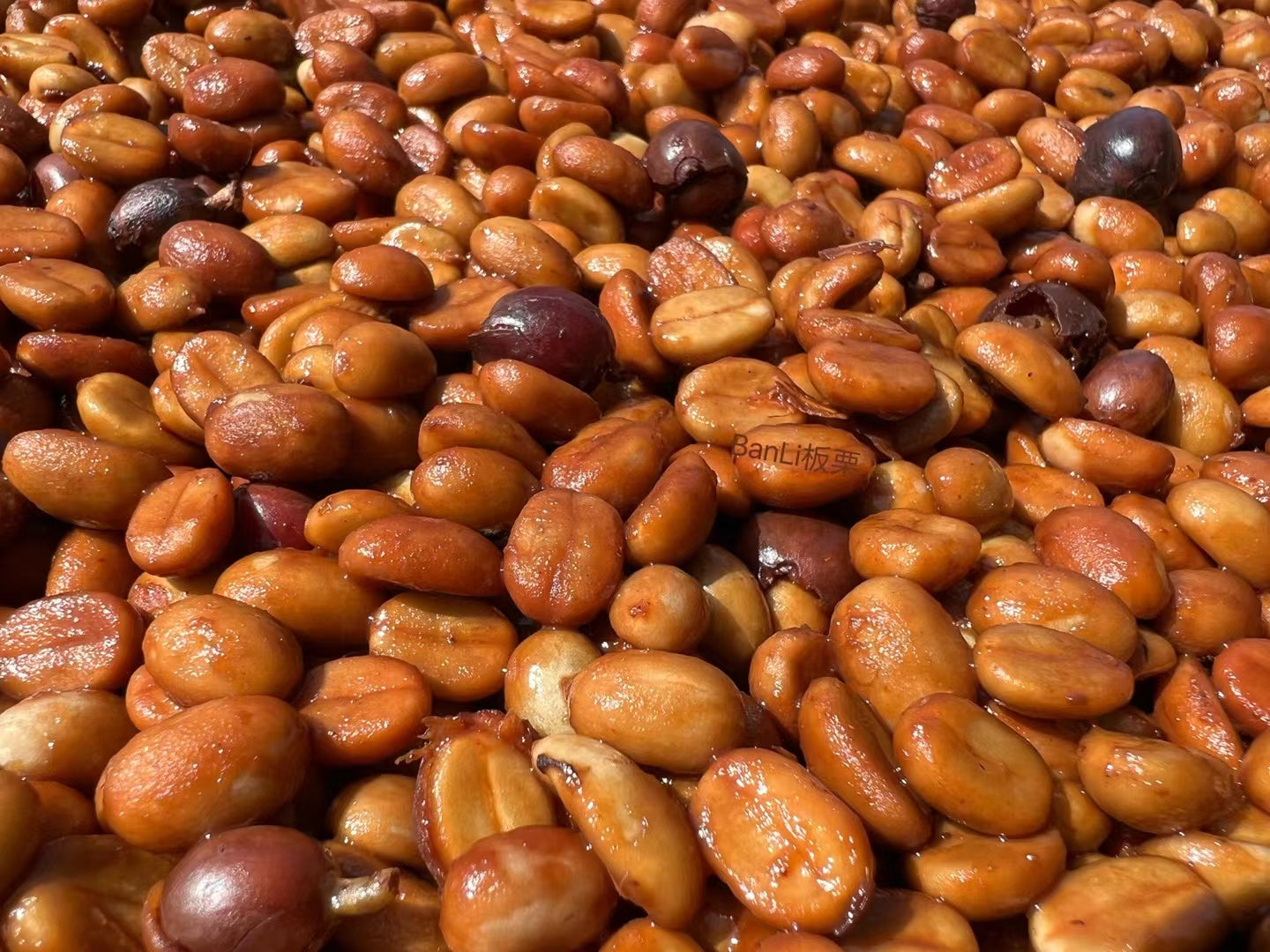 CHINA | MIGU ESTATE ANAEROBIC NATURAL | LIGHT ROAST