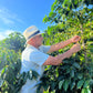 COLOMBIA | BUENOS AIRES NATURAL | LIGHT ROAST