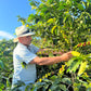 COLOMBIA | BUENOS AIRES NATURAL | LIGHT ROAST