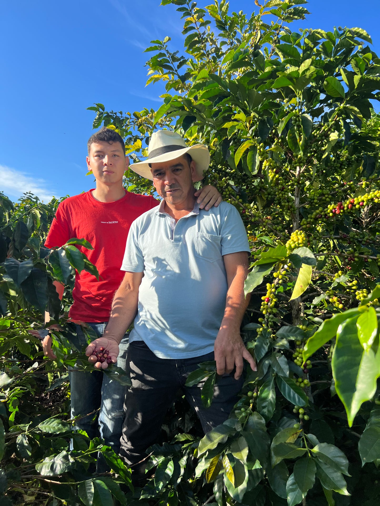 COLOMBIA | BUENOS AIRES NATURAL | LIGHT ROAST