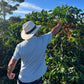 COLOMBIA | BUENOS AIRES NATURAL | LIGHT ROAST