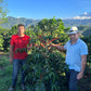 COLOMBIA | BUENOS AIRES NATURAL | LIGHT ROAST