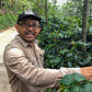 INDONESIA | JAVA FRINSA COLLECTIVE WASHED | MEDIUM ROAST