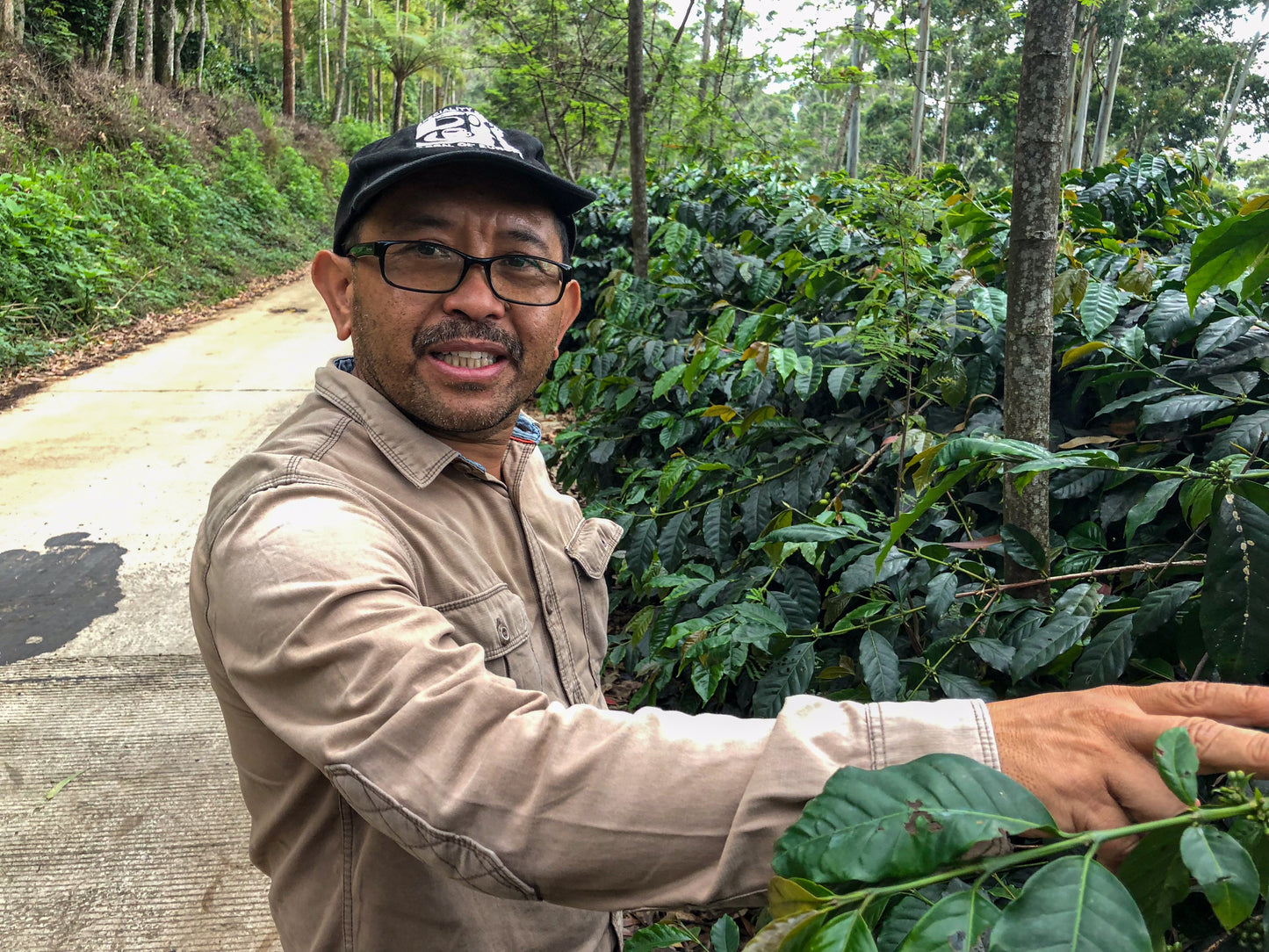 INDONESIA | JAVA FRINSA COLLECTIVE WASHED | MEDIUM ROAST