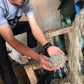 INDONESIA | JAVA FRINSA COLLECTIVE WASHED | MEDIUM ROAST