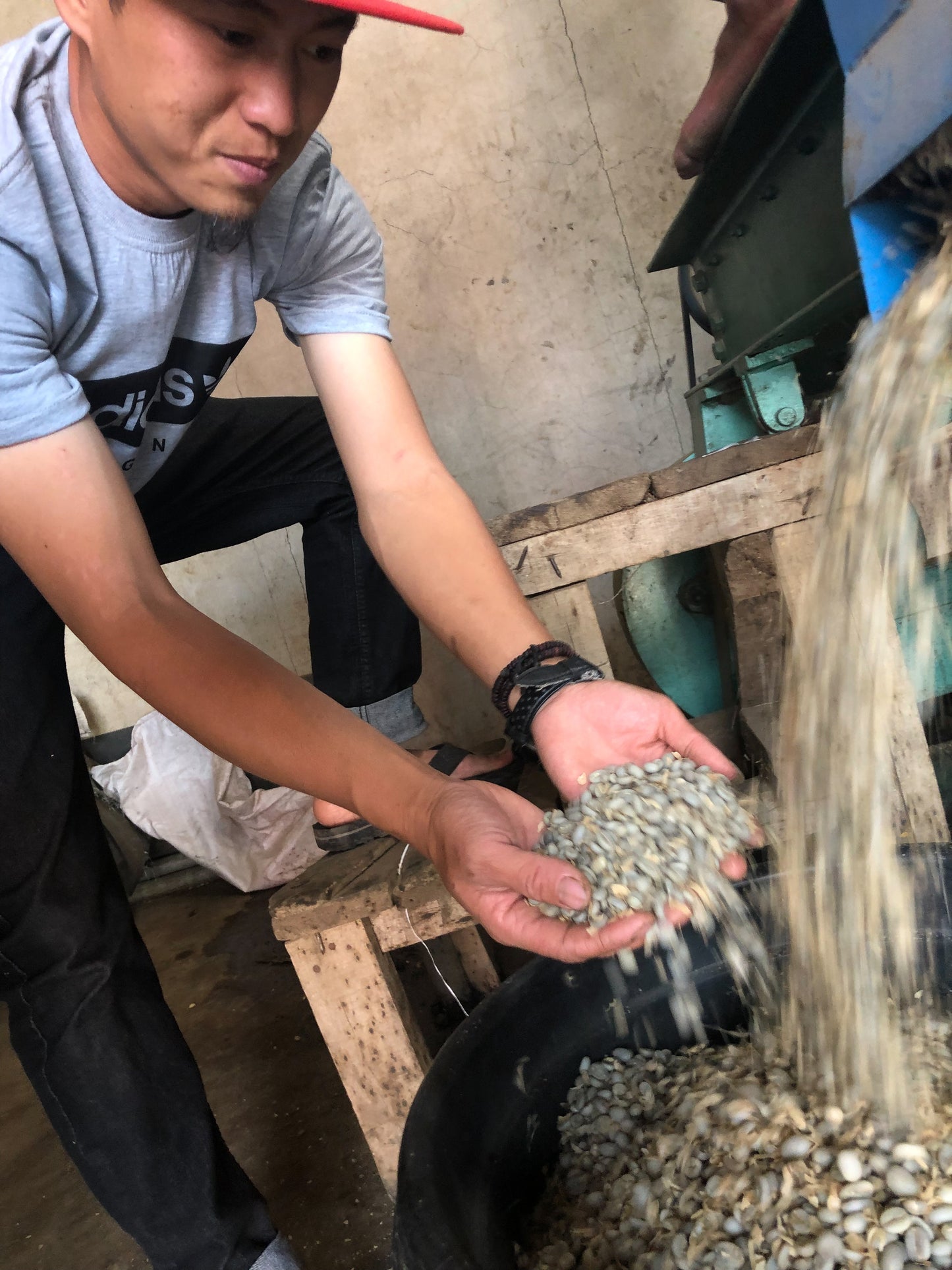 INDONESIA | JAVA FRINSA COLLECTIVE WASHED | MEDIUM ROAST