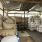 INDONESIA | YOLAN TIRTA WASHED | LIGHT ROAST