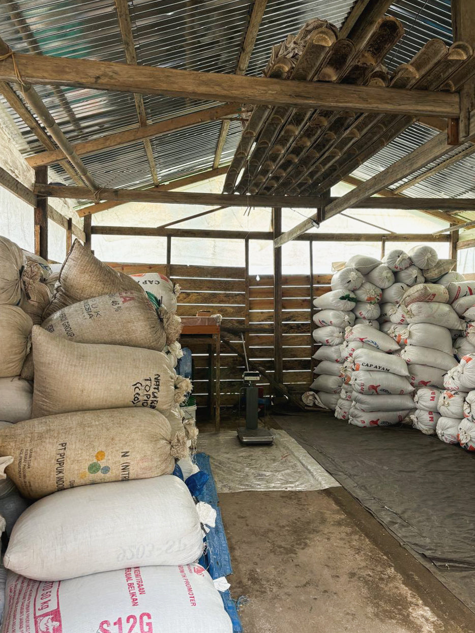 INDONESIA | YOLAN TIRTA WASHED | LIGHT ROAST