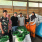 INDONESIA | YOLAN TIRTA WASHED | LIGHT ROAST