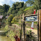 INDONESIA | YOLAN TIRTA WASHED | LIGHT ROAST