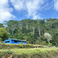 INDONESIA | YOLAN TIRTA WASHED | LIGHT ROAST