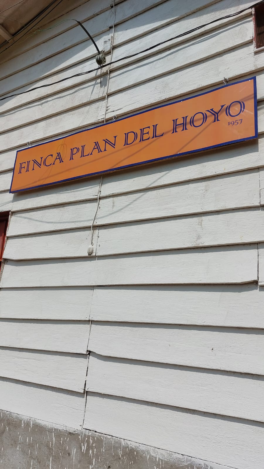 EL SALVADOR | PLAN DEL HOYO WASHED | LIGHT ROAST