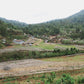ETHIOPIA | CHELBESA WASHED | LIGHT ROAST