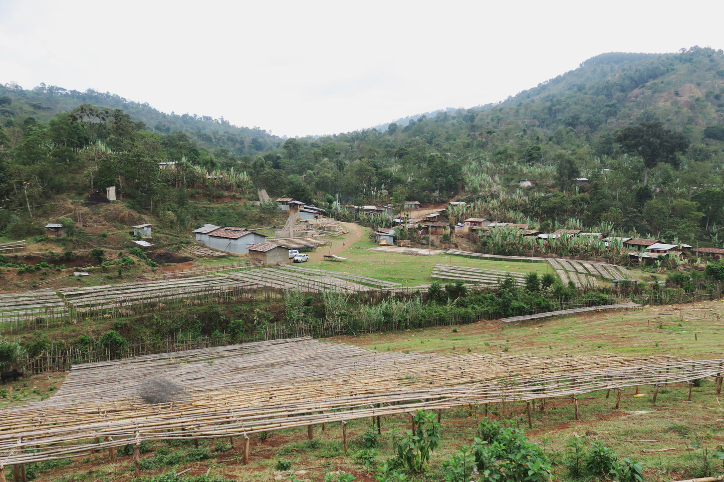 ETHIOPIA | CHELBESA WASHED | LIGHT ROAST