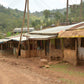 ETHIOPIA | CHELBESA WASHED | LIGHT ROAST