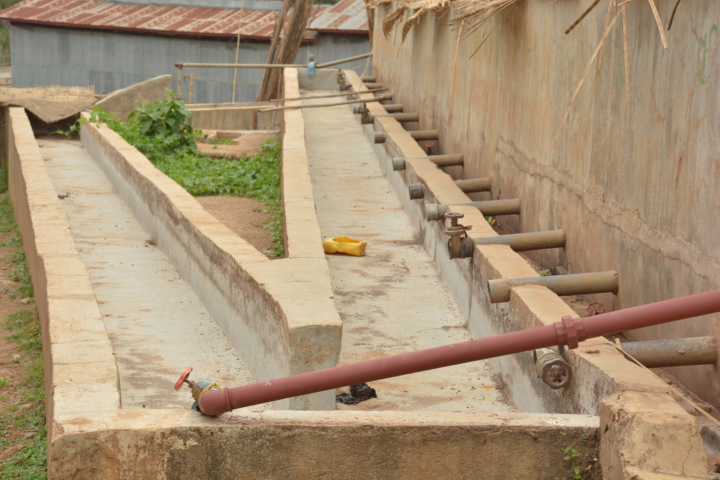 ETHIOPIA | CHELBESA WASHED | LIGHT ROAST