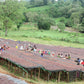 ETHIOPIA | GUJI SIKO LOT #2 WASHED | LIGHT ROAST