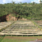 BURUNDI | KIBINGO ORO DRY NATURAL | LIGHT ROAST