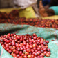 KENYA | MAGUTA CM NATURAL | LIGHT ROAST
