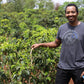KENYA | MAGUTA CM NATURAL | LIGHT ROAST