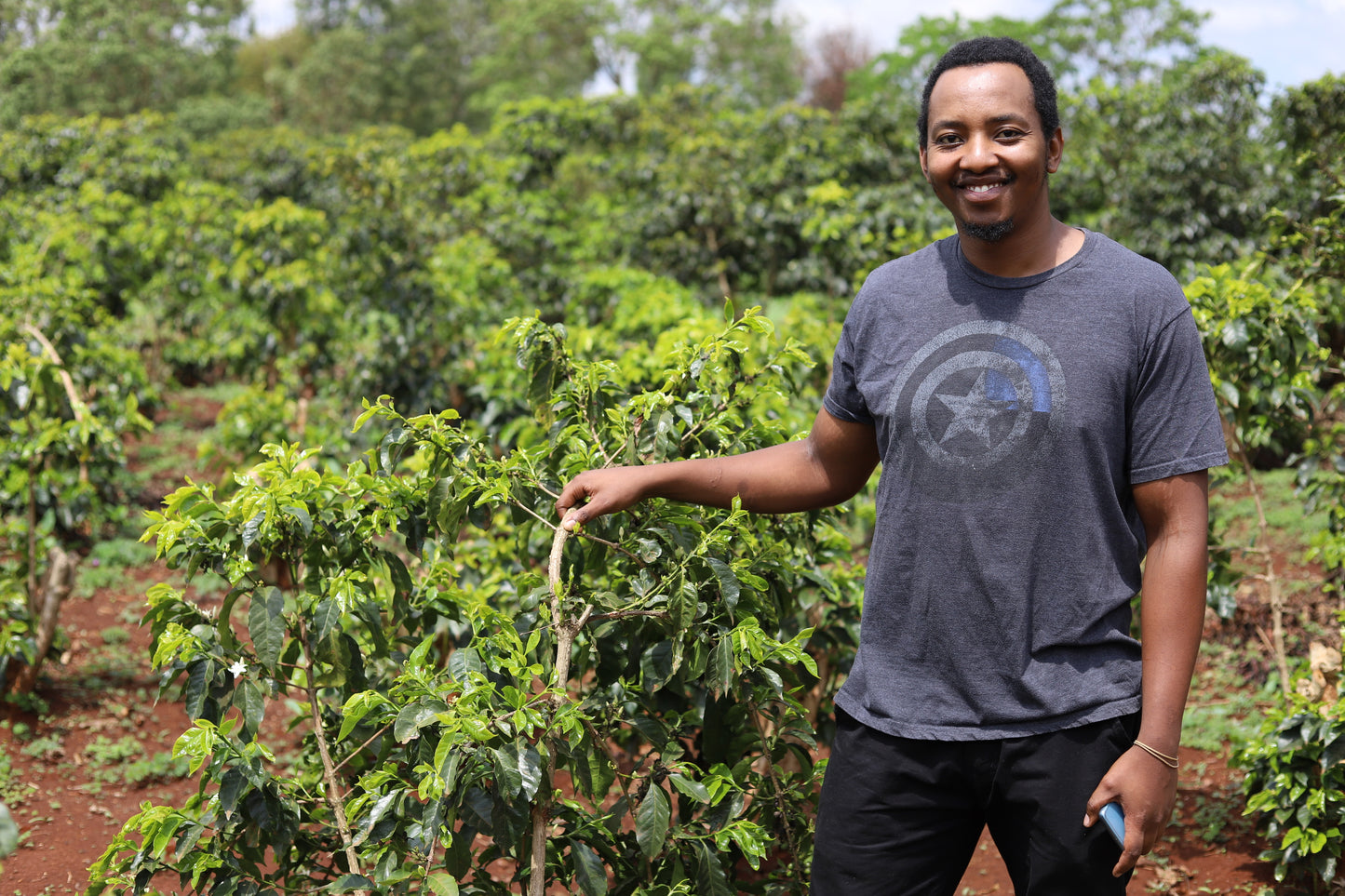 KENYA | MAGUTA CM NATURAL | LIGHT ROAST