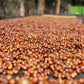 KENYA | MAGUTA CM NATURAL | LIGHT ROAST