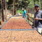 KENYA | MAGUTA CM NATURAL | LIGHT ROAST