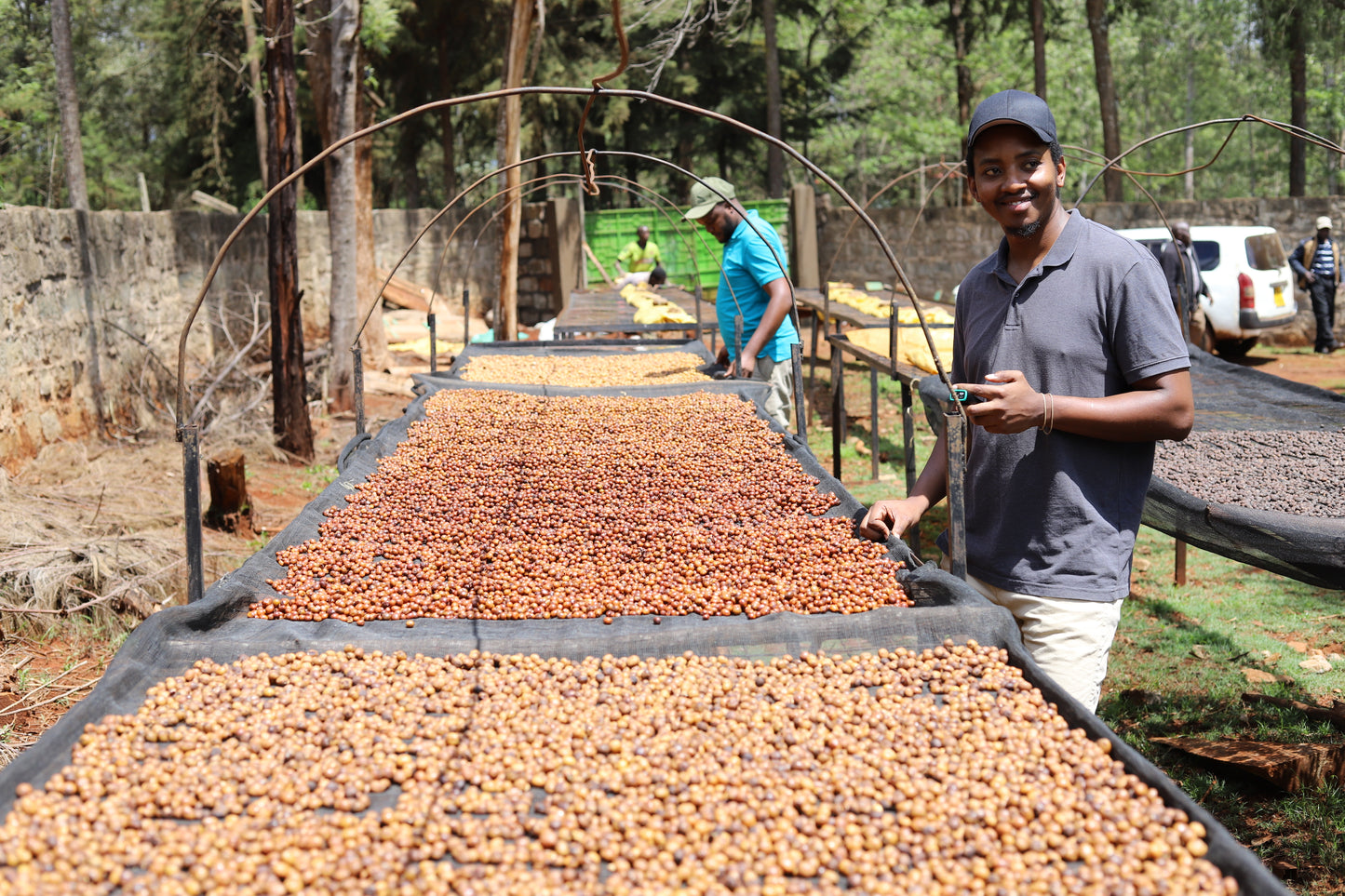 KENYA | MAGUTA CM NATURAL | LIGHT ROAST