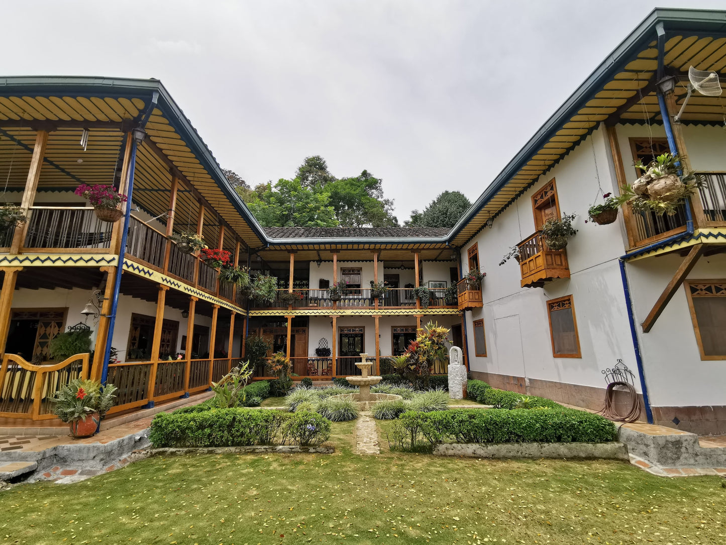 COLOMBIA | FINCA POTOSI CGLE NATURAL | LIGHT ROAST