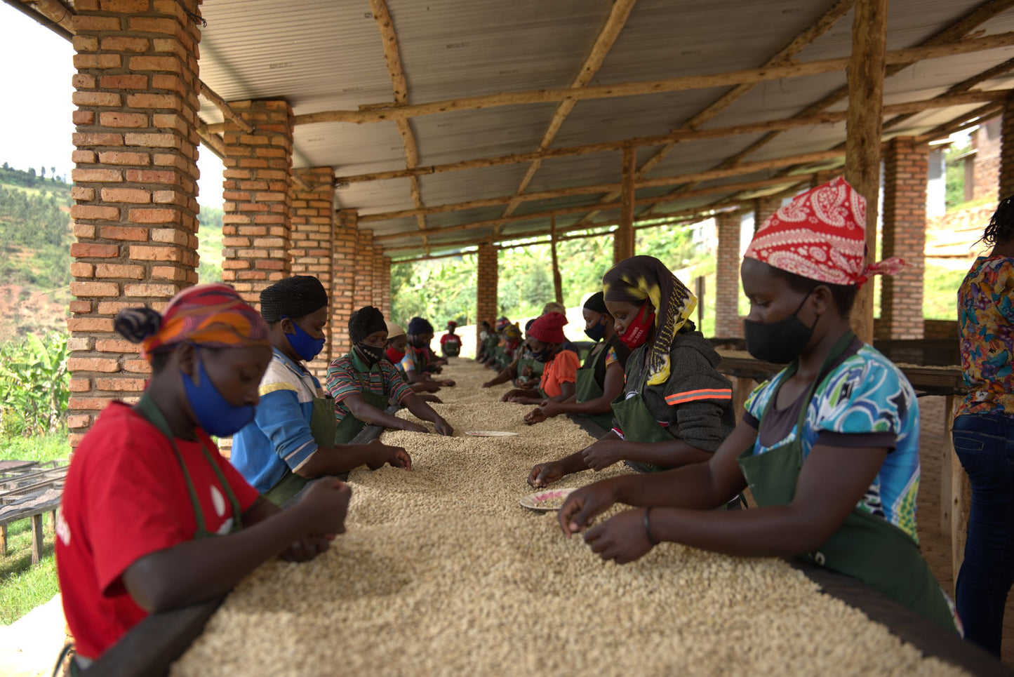 RWANDA | NOVA LOT 9 NATURAL | MEDIUM ROAST