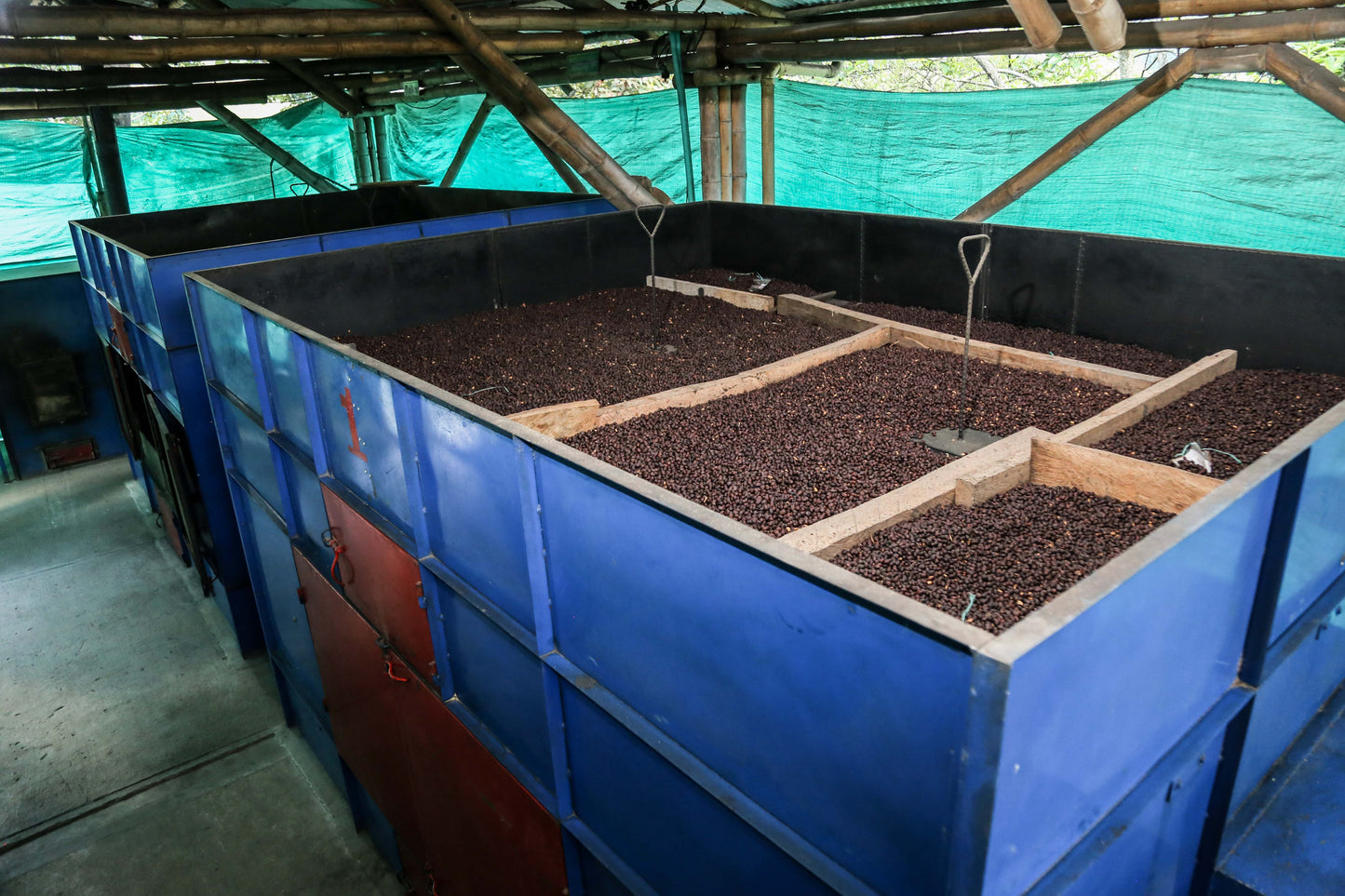 COLOMBIA | TRES DRAGONES NATURAL | LIGHT ROAST