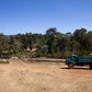 ETHIOPIA | HADESO NATURAL | MEDIUM ROAST