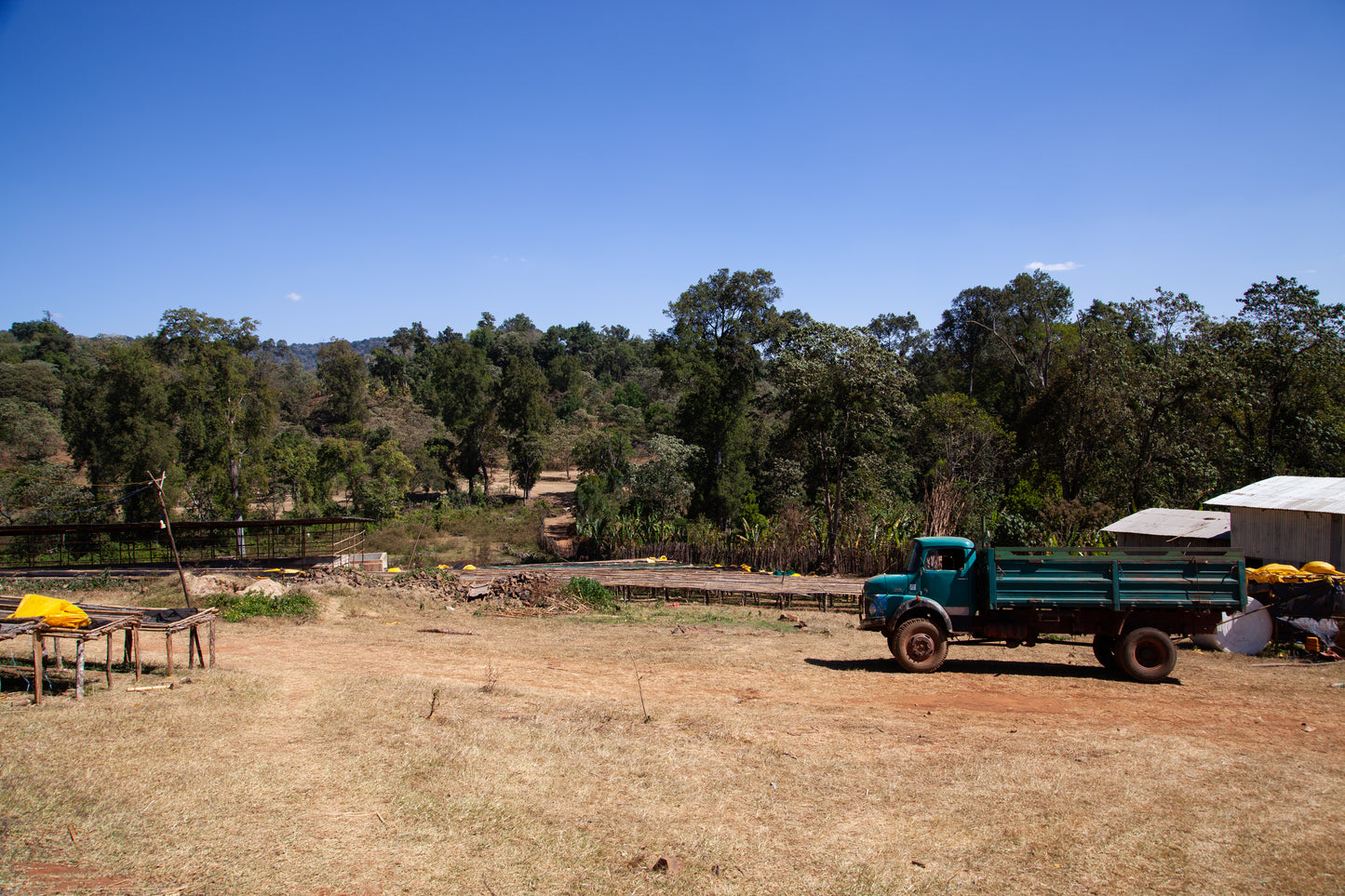 ETHIOPIA | HADESO NATURAL | MEDIUM ROAST