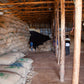 ETHIOPIA | HADESO NATURAL | MEDIUM ROAST