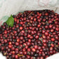 COLOMBIA | ANDINO BRUSELAS WASHED | MEDIUM ROAST